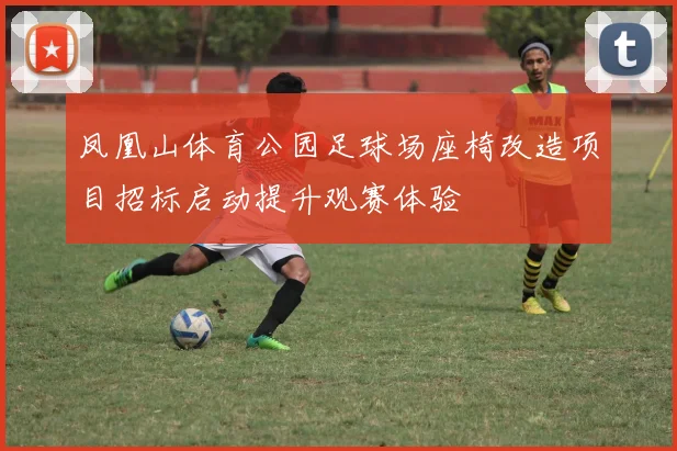 凤凰山体育公园足球场座椅改造项目招标启动提升观赛体验